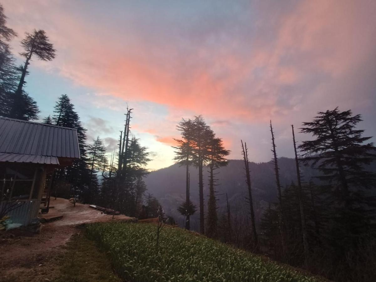 Deep In Woods Villa Jibhi Exterior foto
