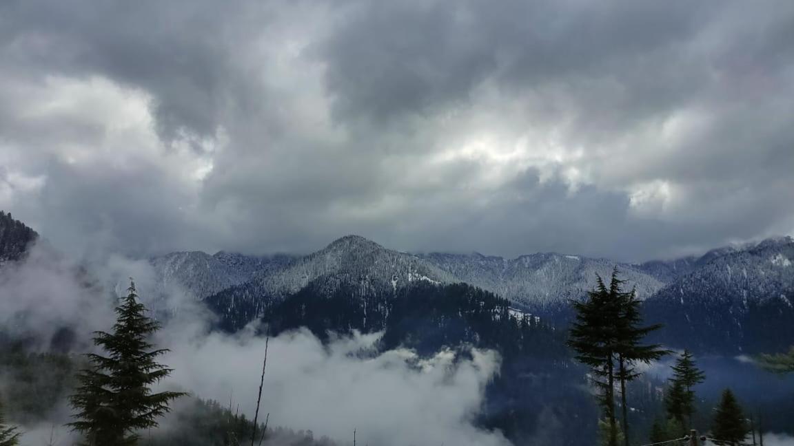 Deep In Woods Villa Jibhi Exterior foto