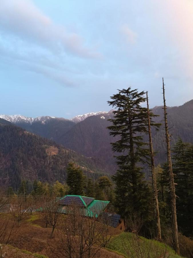 Deep In Woods Villa Jibhi Exterior foto