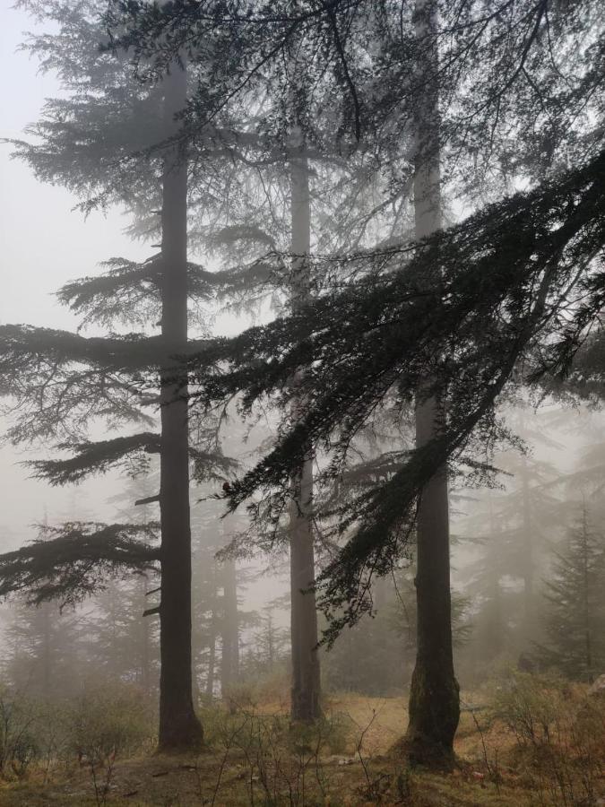 Deep In Woods Villa Jibhi Exterior foto