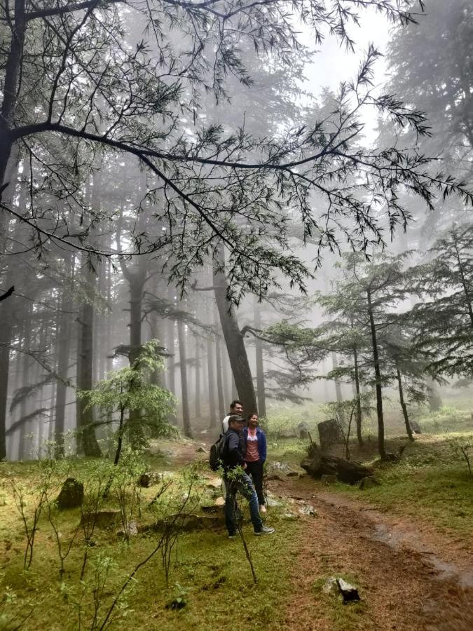 Deep In Woods Villa Jibhi Exterior foto