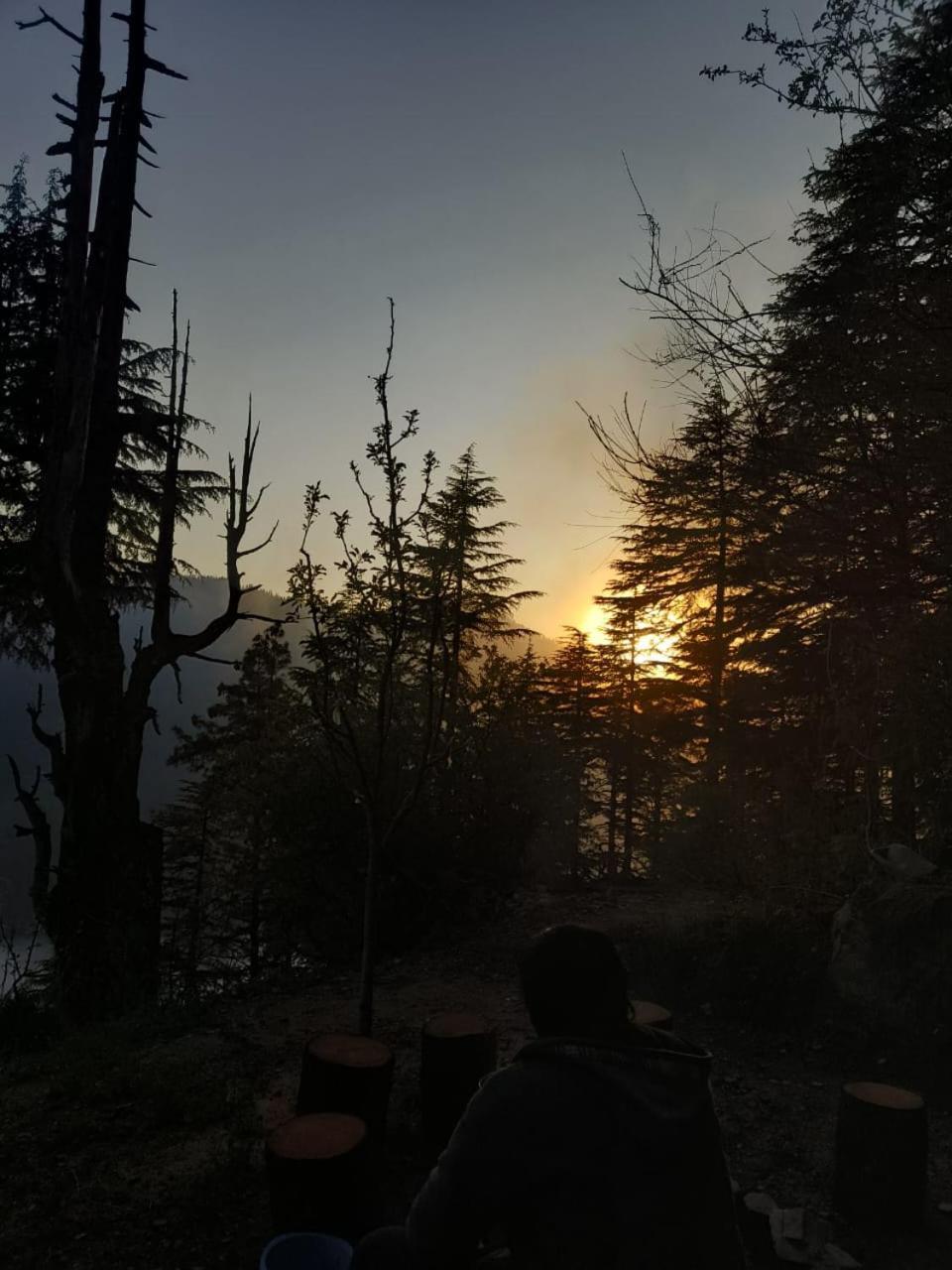 Deep In Woods Villa Jibhi Exterior foto